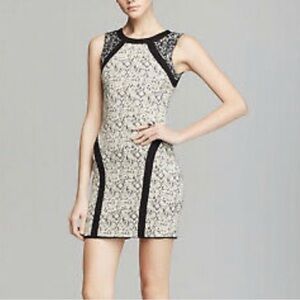 Parker Jagger Dress.